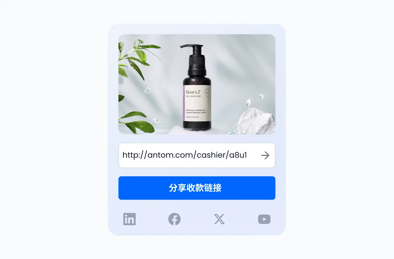 链接支付