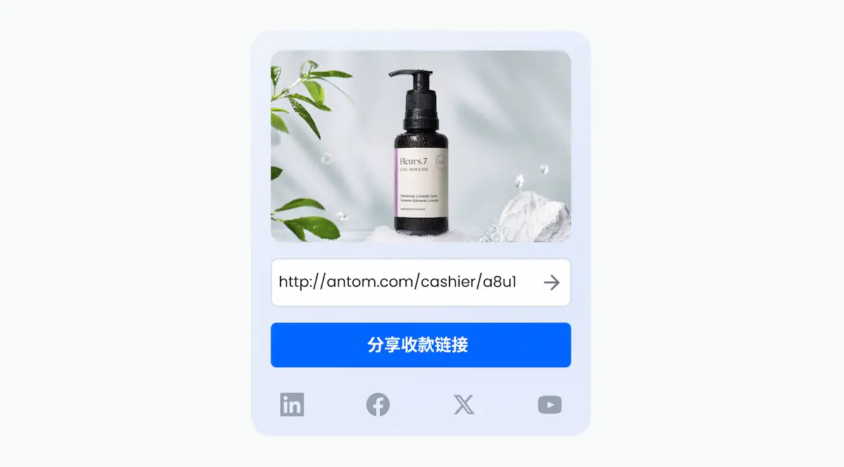 链接支付