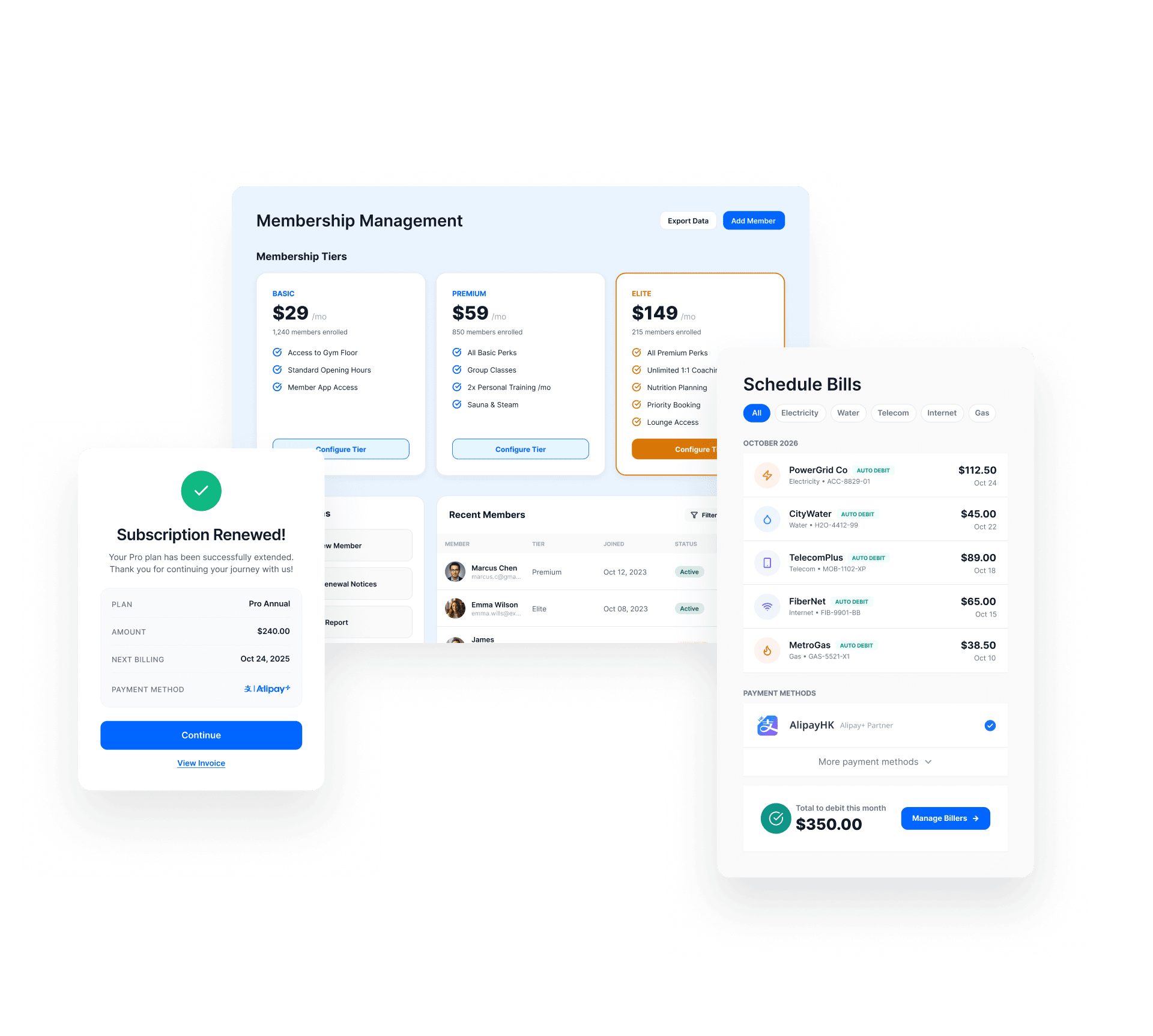 Where Online Auto Debit drives new value