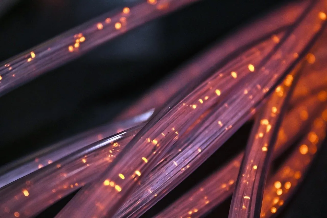 Fiber 4814456 1280 article image