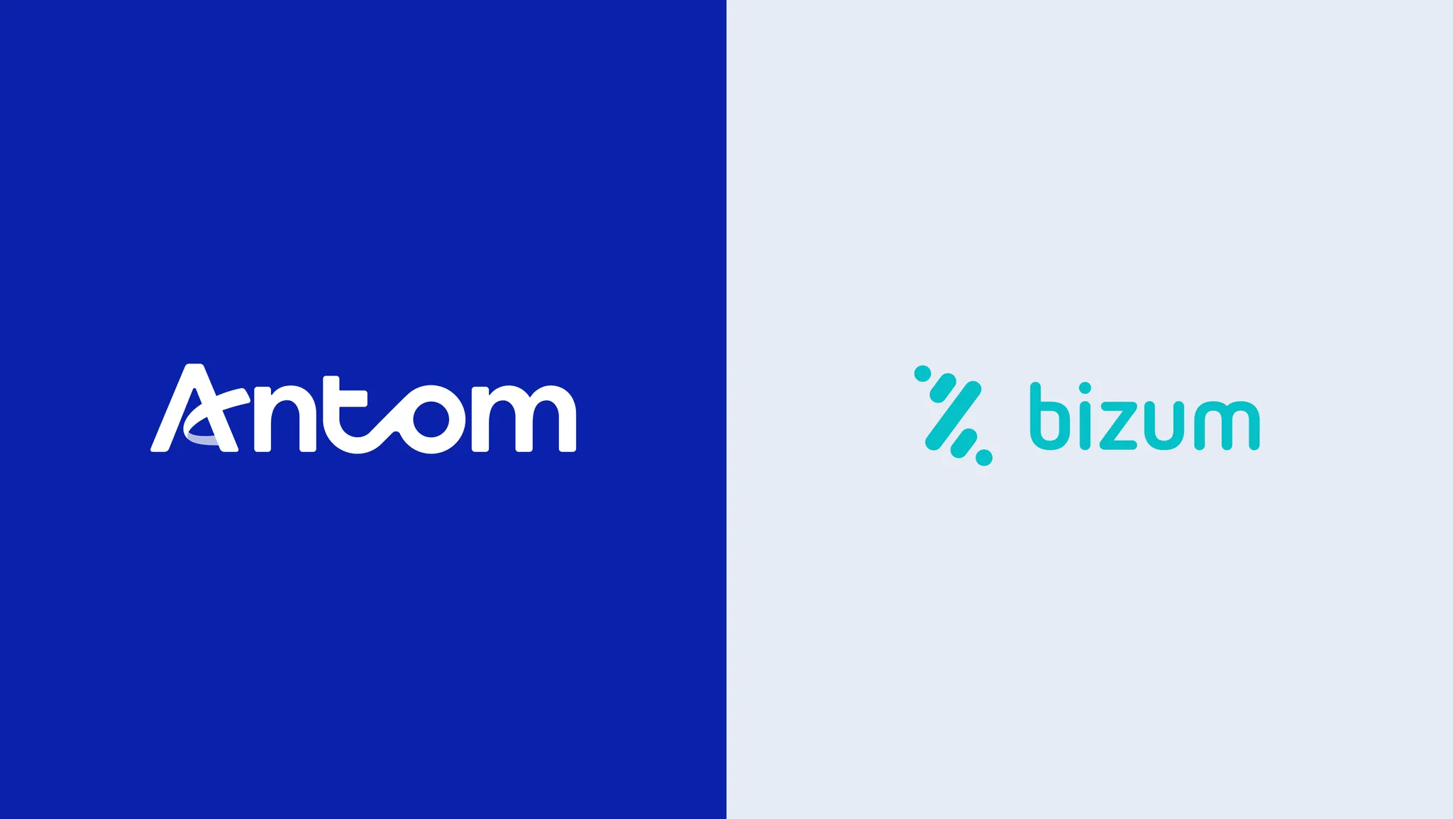 Bizum