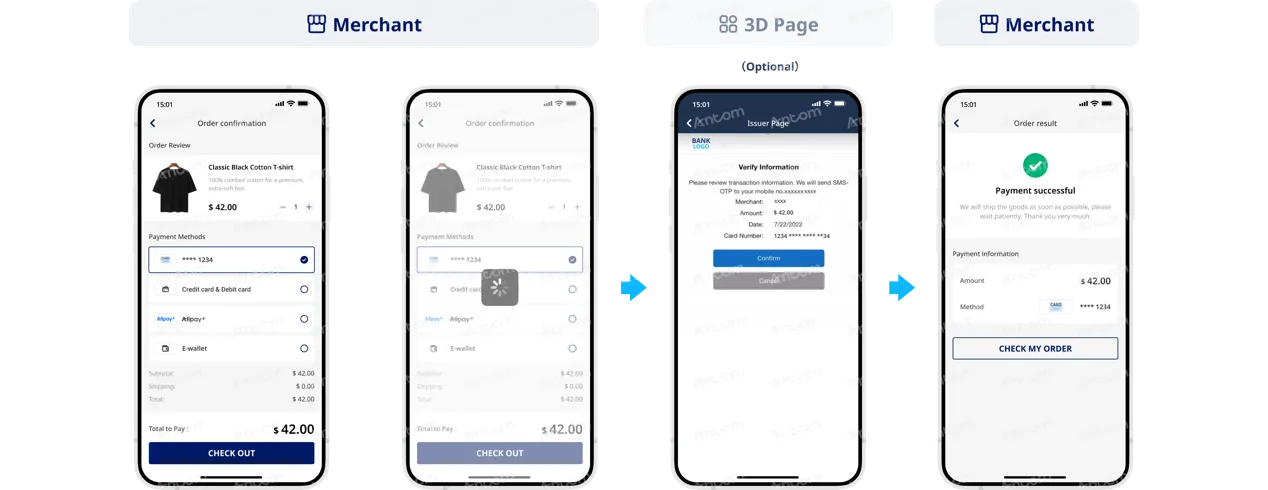 Discover API integration subsequent payment process through app