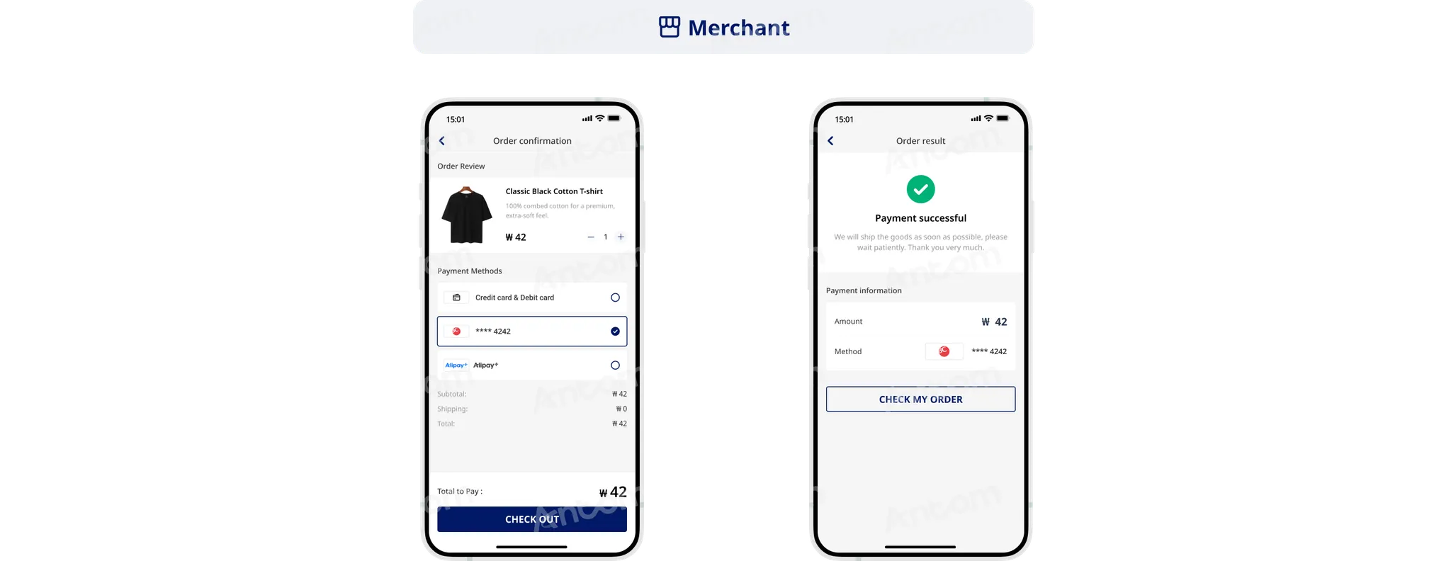 Non-authenticated payment non-PCI qualified API integration subsequent payment through app