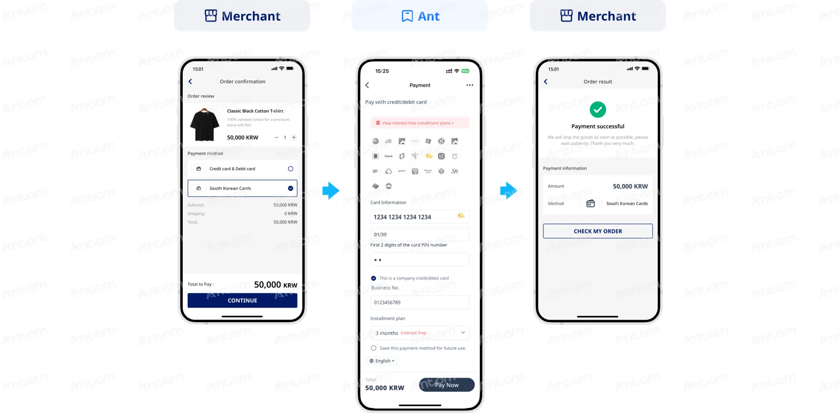 Non-authenticated payment non-PCI qualified API integration first-time payment through app (corporate card)
