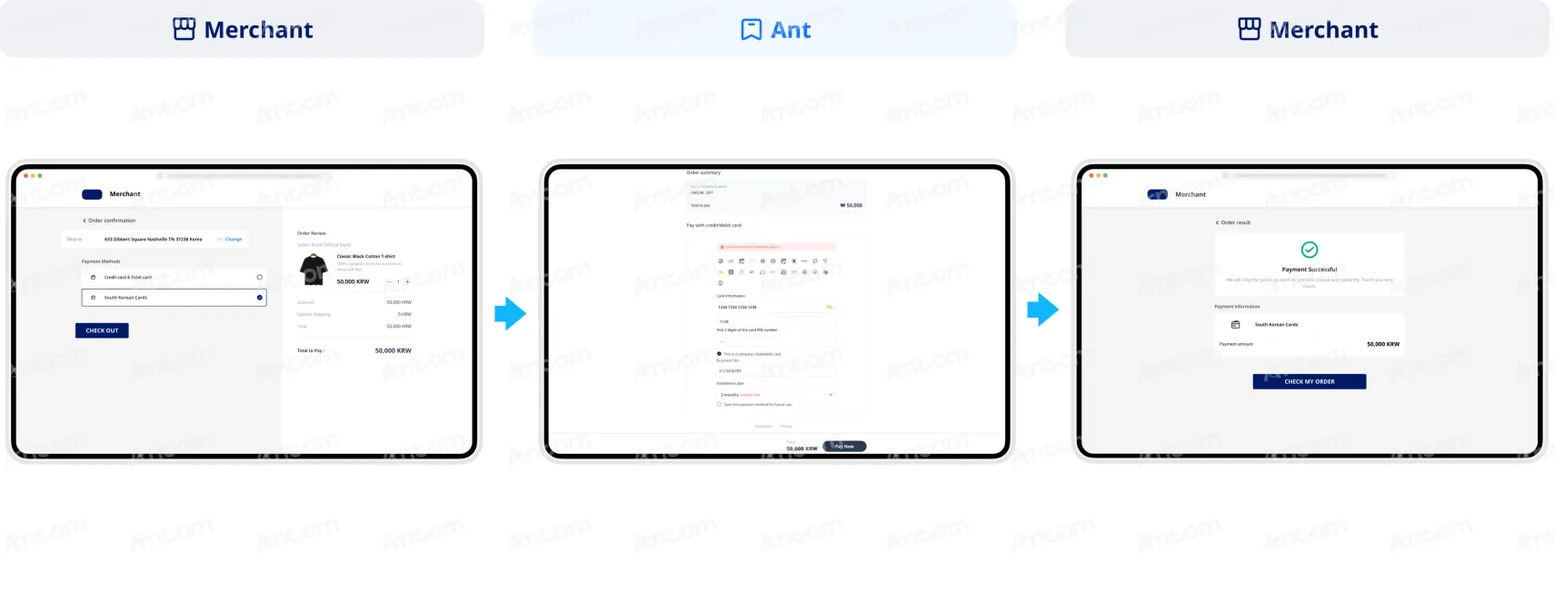 Non-authenticated payment non-PCI qualified API integration first-time payment through web (corporate card)