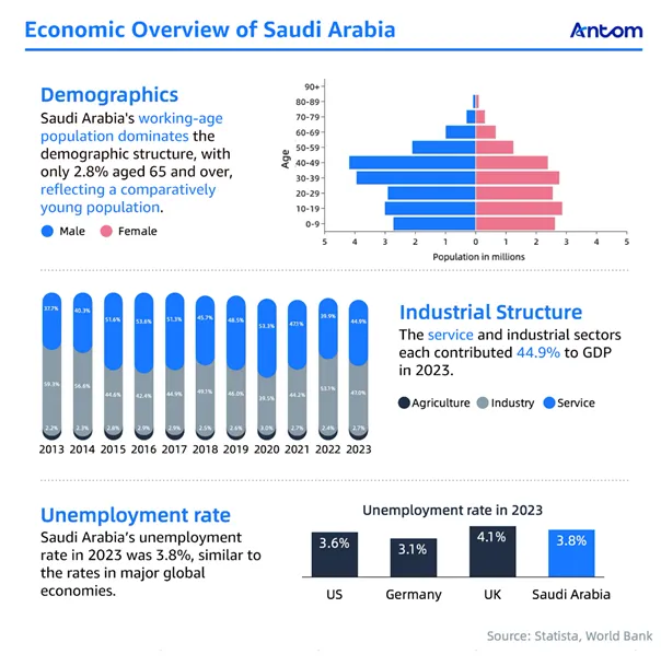 The Saudi opportunity: article image